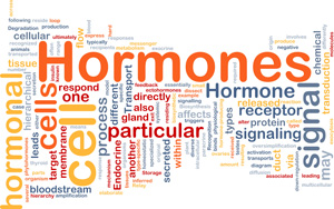 Custom Bio-Identical Hormone Creams